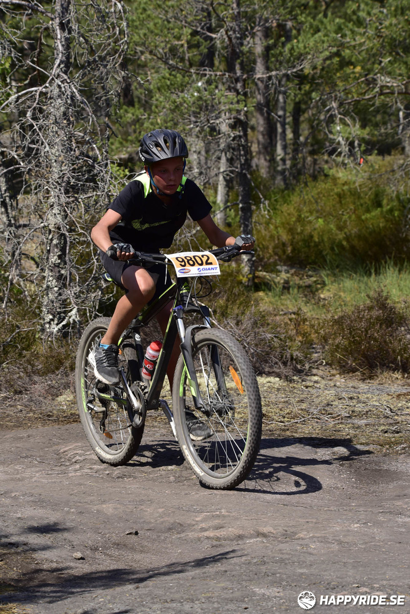 Bild från Lida Loop 2018
