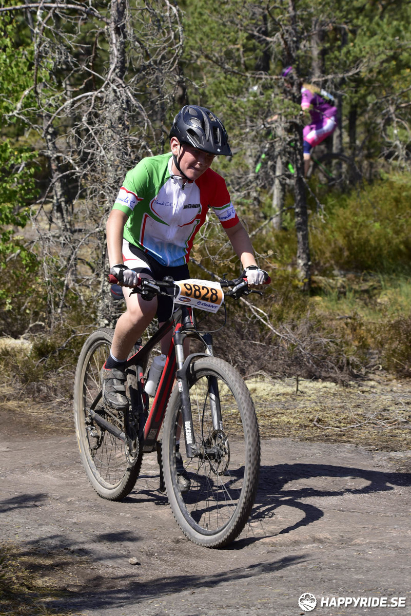 Bild från Lida Loop 2018