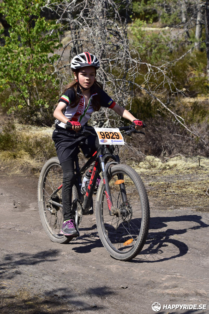 Bild från Lida Loop 2018