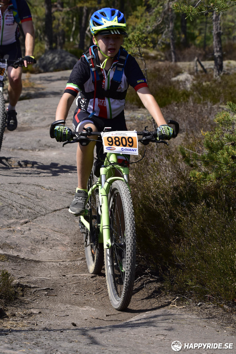 Bild från Lida Loop 2018