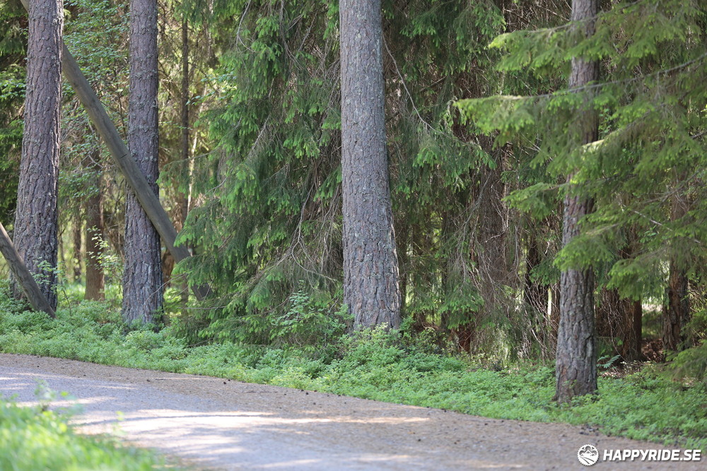 Bild från Lida Loop 2024