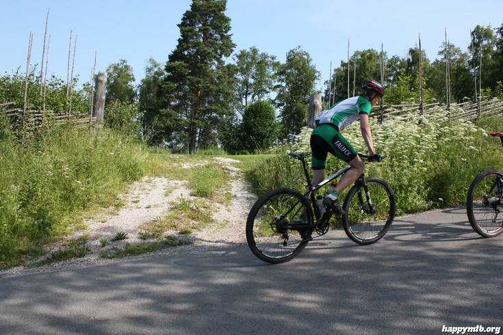 Bild från Mörksuggejakten 2013