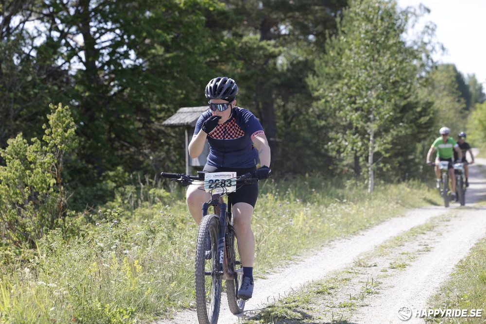 Bild från Mörksuggejakten 2013