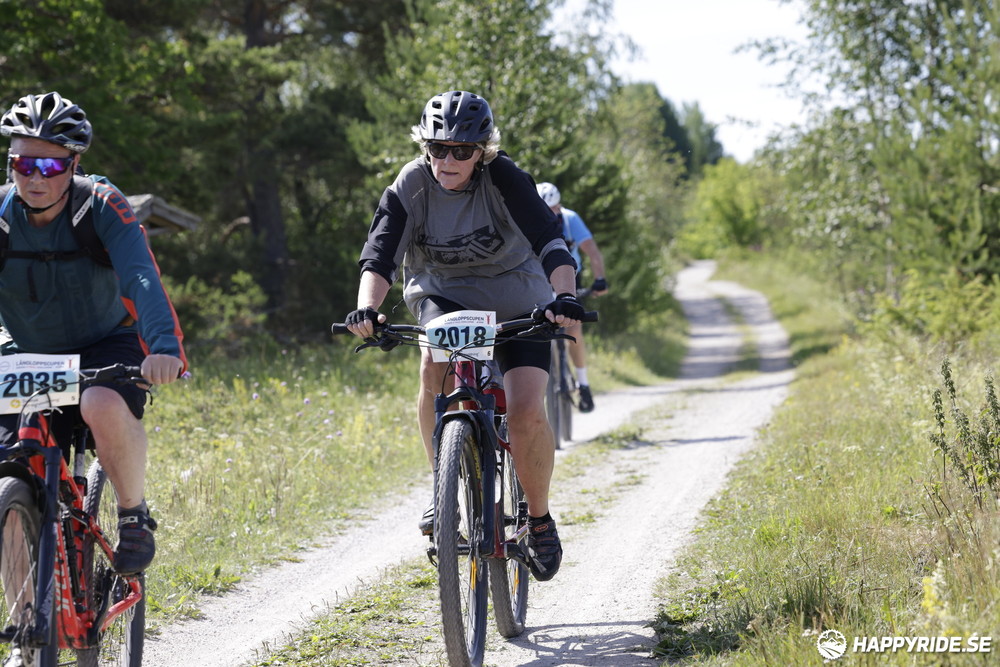 Bild från Mörksuggejakten 2013