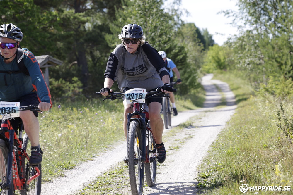 Bild från Mörksuggejakten 2013