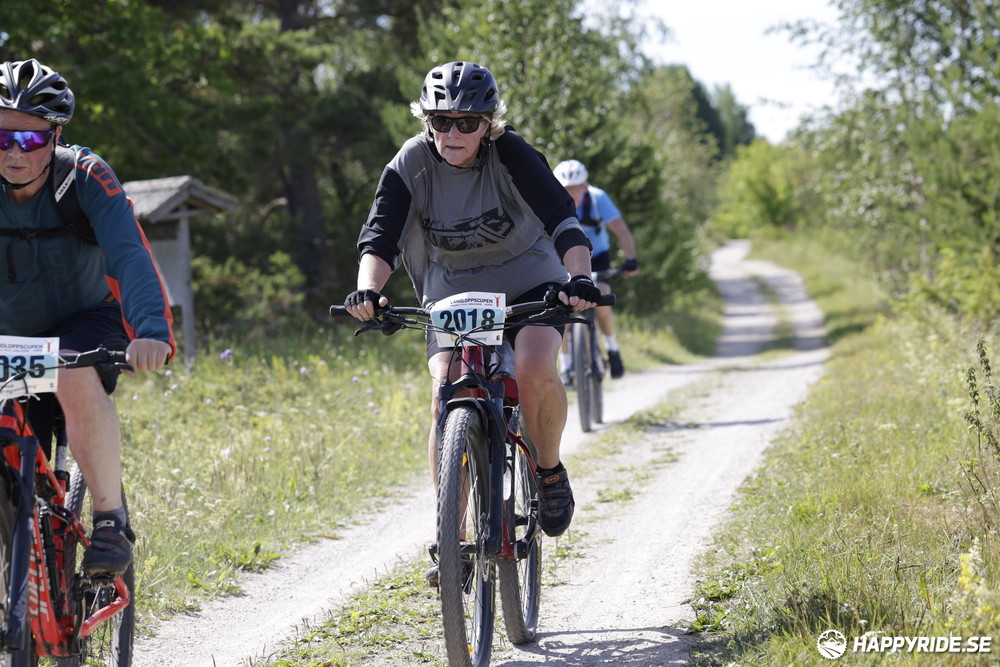 Bild från Mörksuggejakten 2013