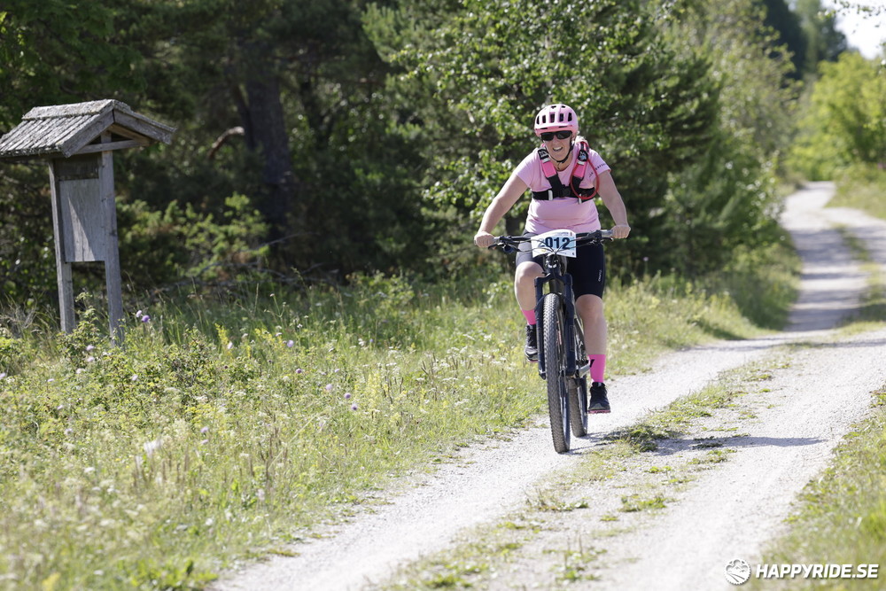 Bild från Mörksuggejakten 2013