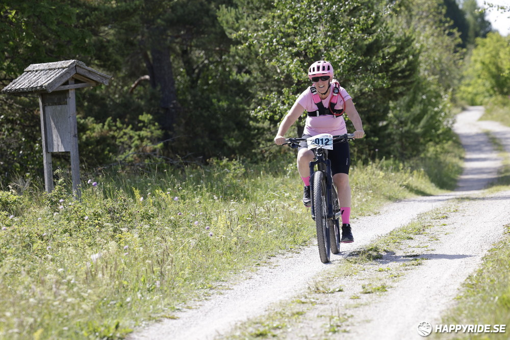 Bild från Mörksuggejakten 2013