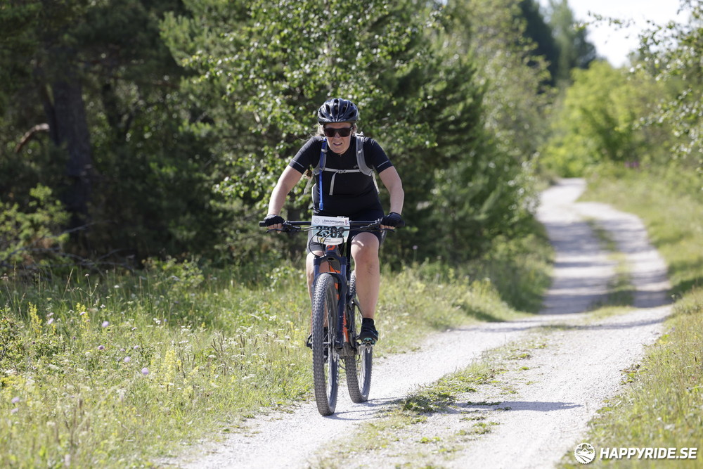 Bild från Mörksuggejakten 2013