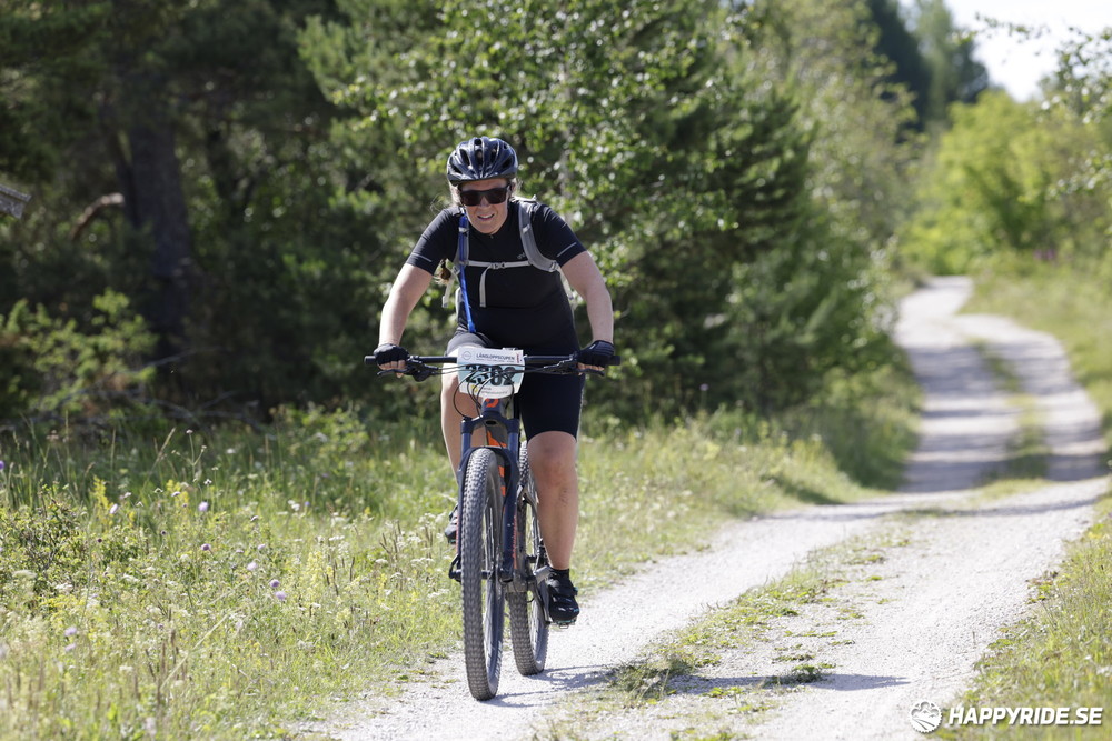 Bild från Mörksuggejakten 2013