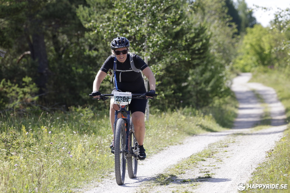 Bild från Mörksuggejakten 2013