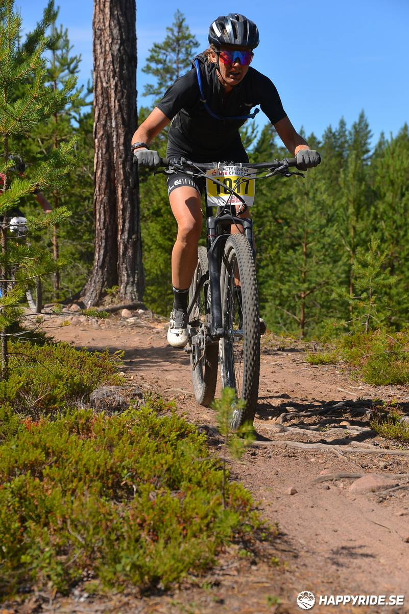 Bild från Mörksuggejakten 2018 - Bildreportage