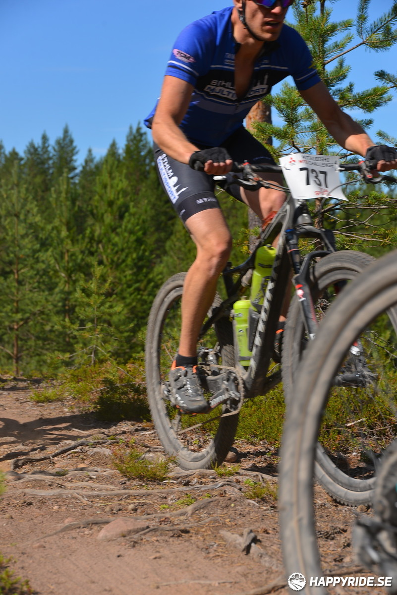 Bild från Mörksuggejakten 2018 - Bildreportage