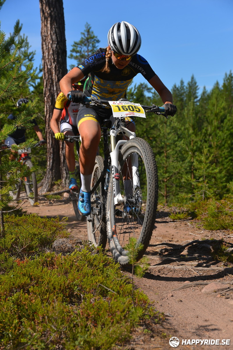 Bild från Mörksuggejakten 2018 - Bildreportage