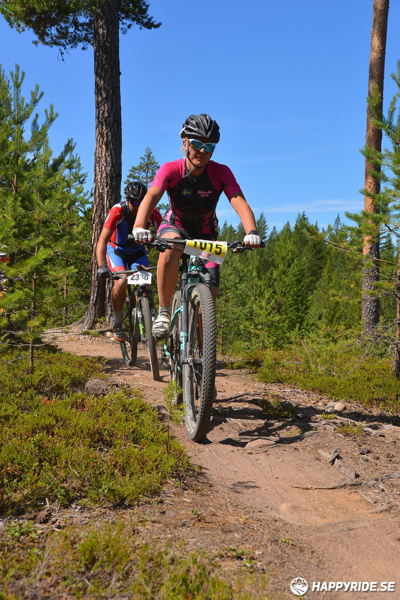 Bild från Mörksuggejakten 2018 - Bildreportage