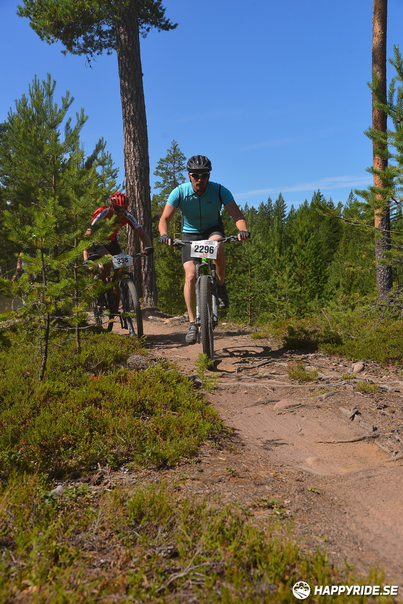 Bild från Mörksuggejakten 2018 - Bildreportage