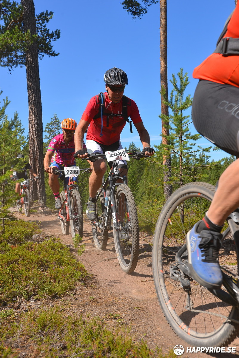 Bild från Mörksuggejakten 2018 - Bildreportage