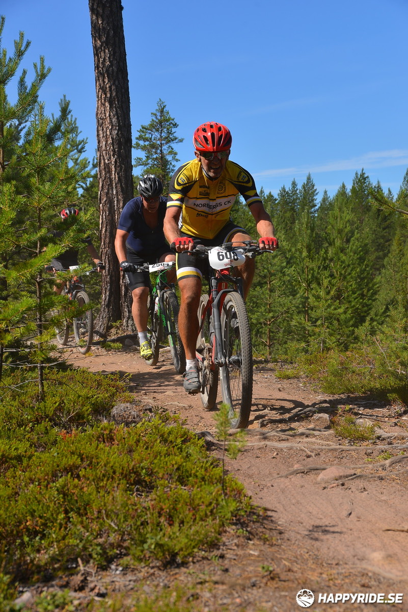 Bild från Mörksuggejakten 2018 - Bildreportage