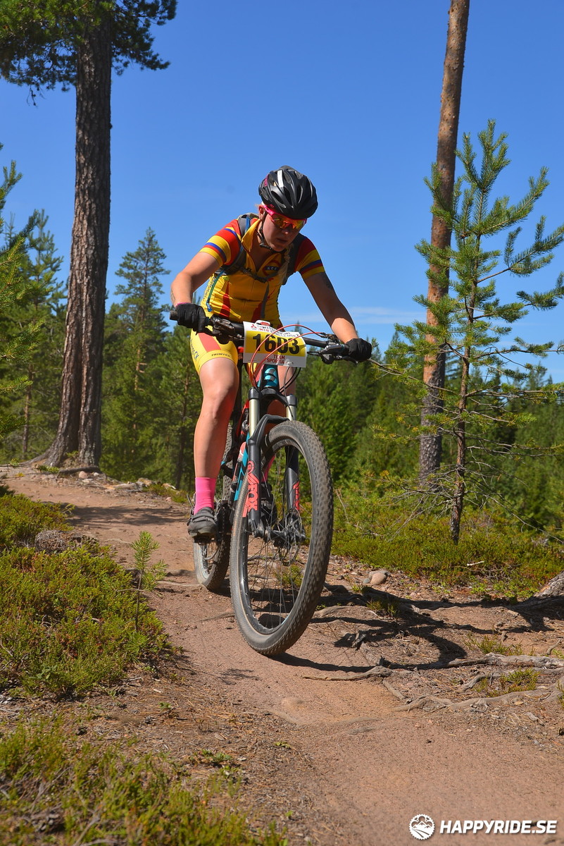 Bild från Mörksuggejakten 2018 - Bildreportage