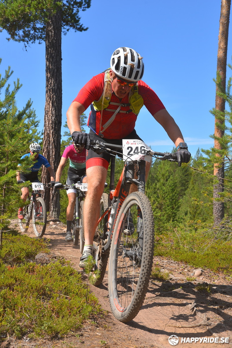 Bild från Mörksuggejakten 2018 - Bildreportage