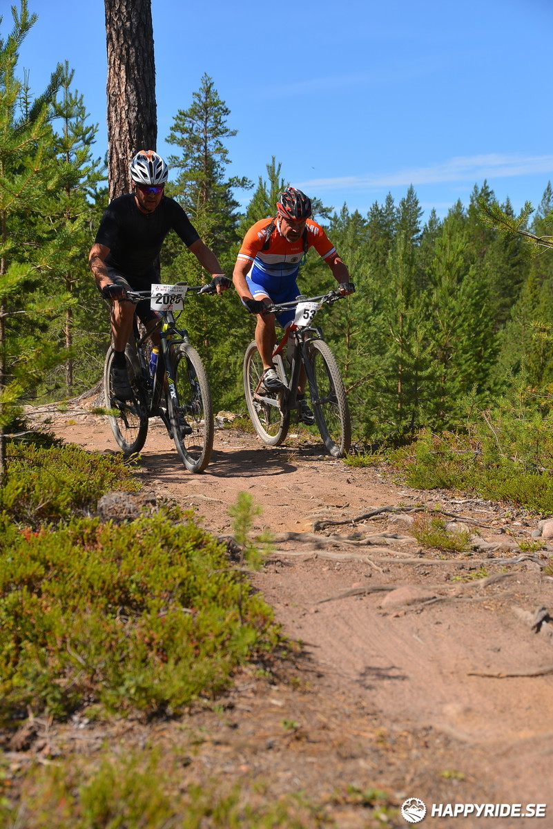 Bild från Mörksuggejakten 2018 - Bildreportage