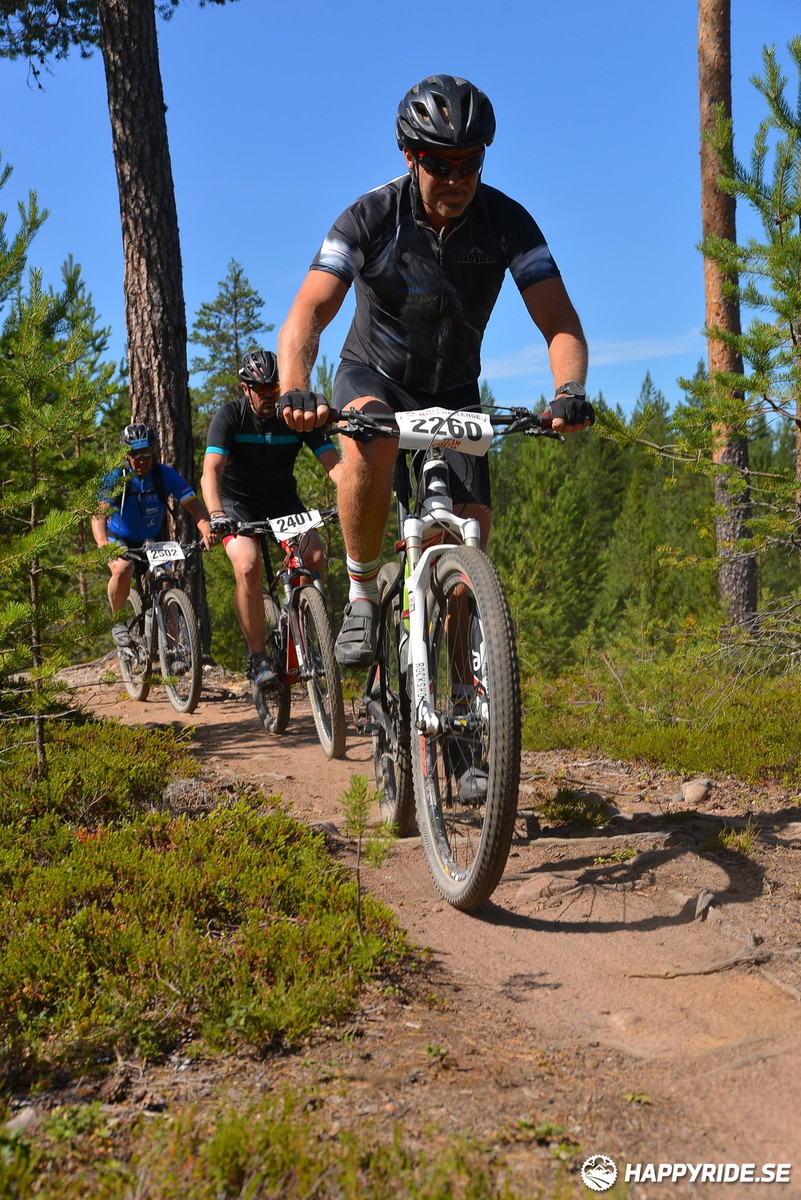 Bild från Mörksuggejakten 2018 - Bildreportage