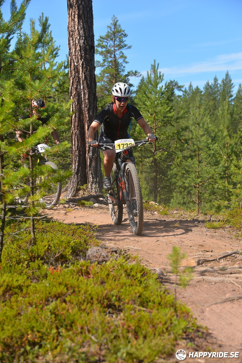 Bild från Mörksuggejakten 2018 - Bildreportage