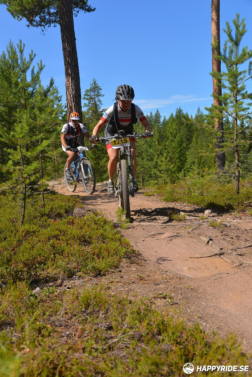 Bild från Mörksuggejakten 2018 - Bildreportage