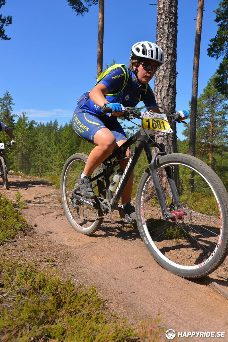 Bild från Mörksuggejakten 2018 - Bildreportage