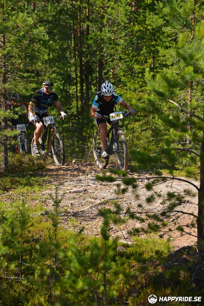 Bild från Mörksuggejakten 2018 - Bildreportage