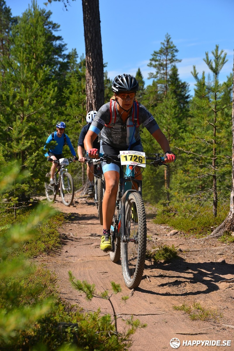 Bild från Mörksuggejakten 2018 - Bildreportage