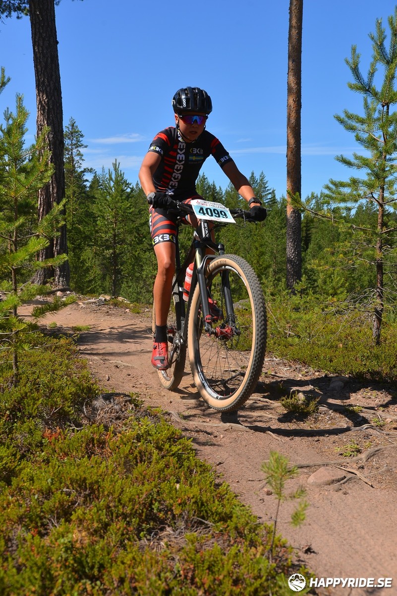 Bild från Mörksuggejakten 2018 - Bildreportage