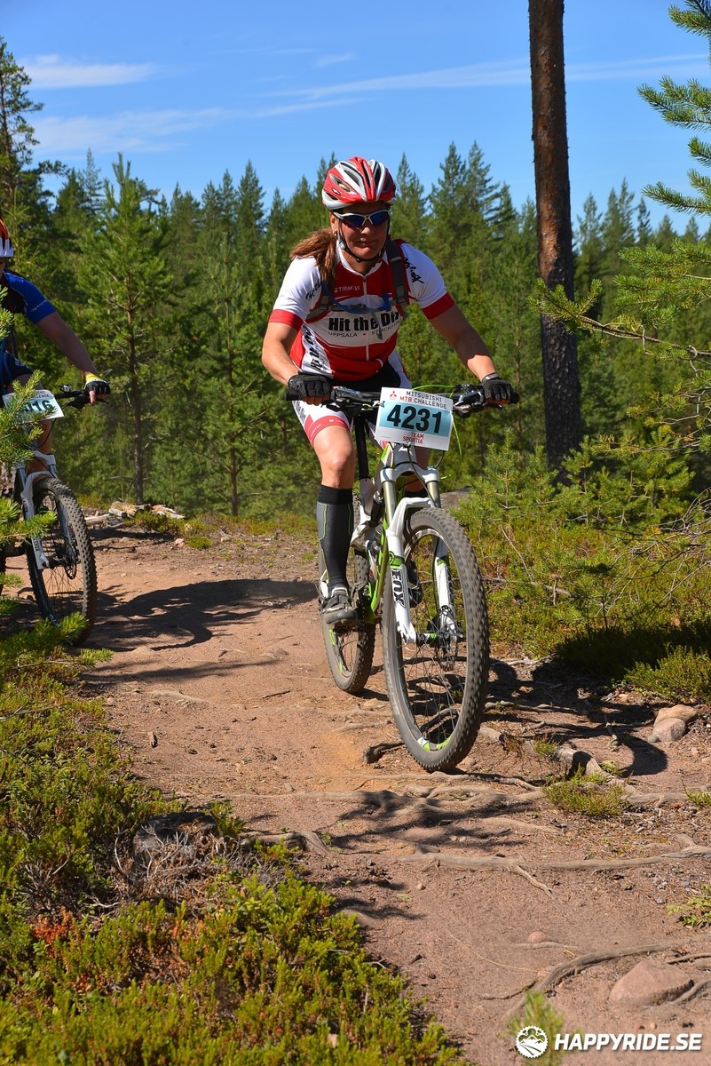 Bild från Mörksuggejakten 2018 - Bildreportage