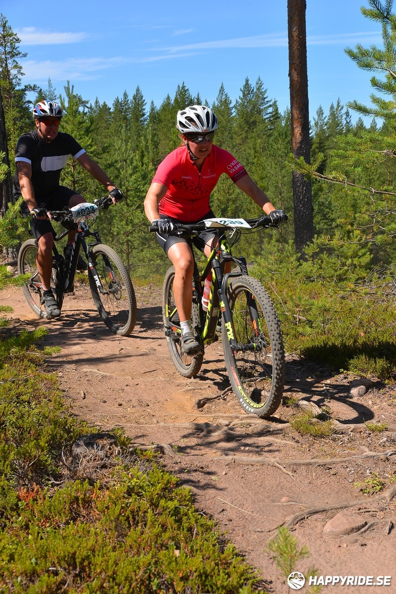 Bild från Mörksuggejakten 2018 - Bildreportage