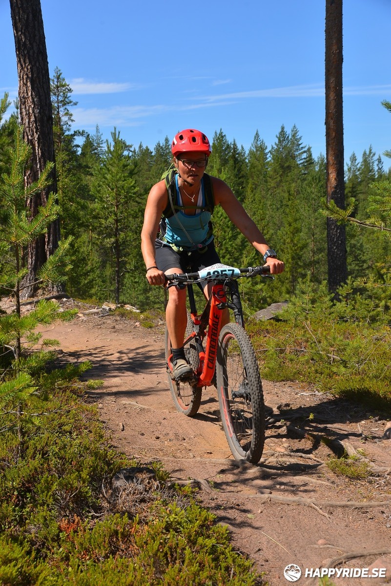 Bild från Mörksuggejakten 2018 - Bildreportage