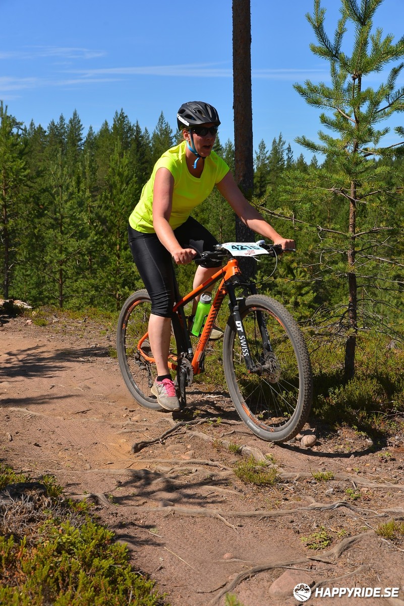 Bild från Mörksuggejakten 2018 - Bildreportage