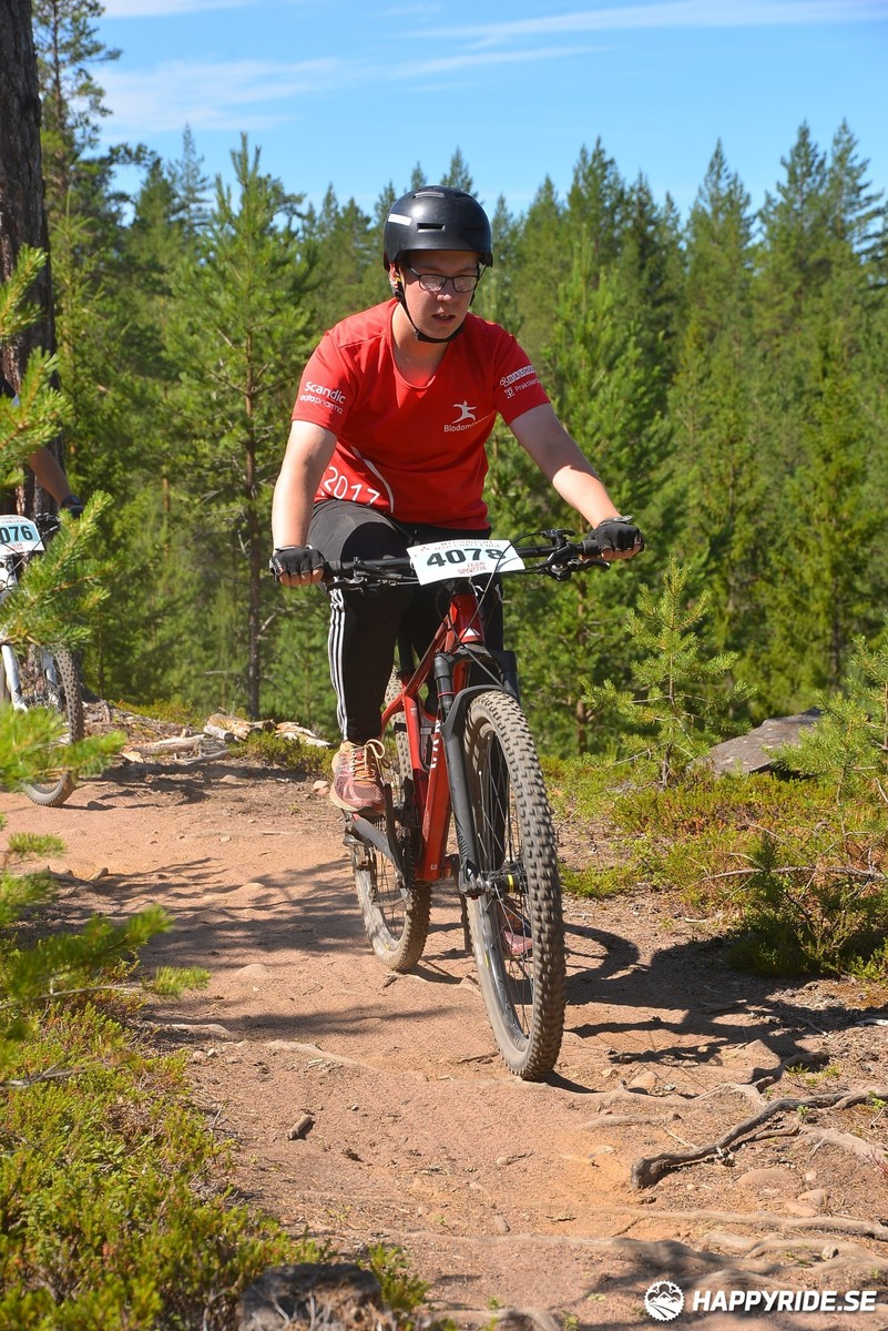 Bild från Mörksuggejakten 2018 - Bildreportage