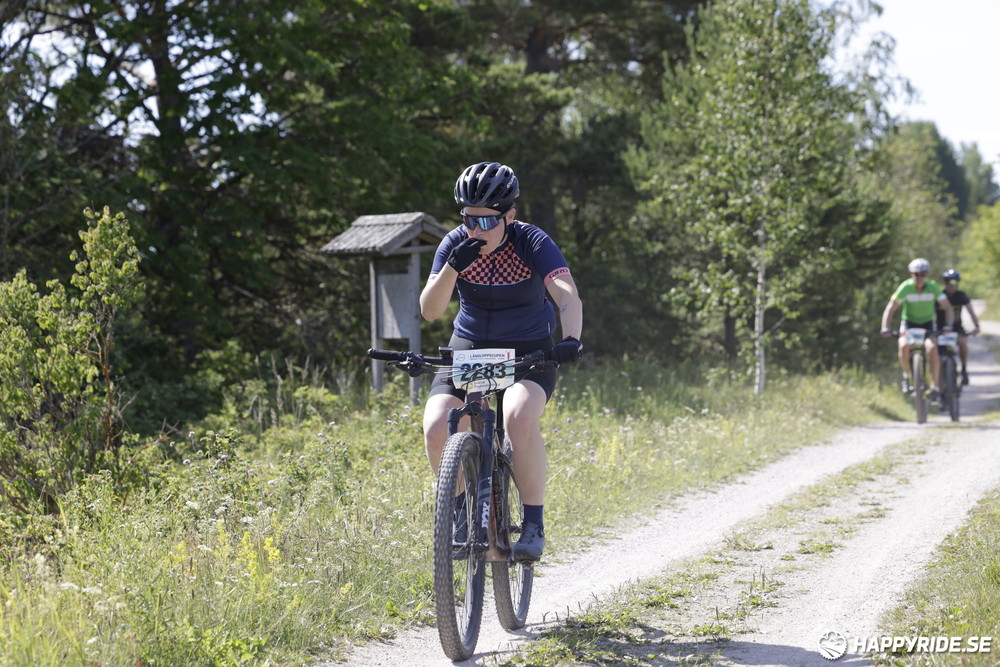 Bild från Mörksuggejakten 2023