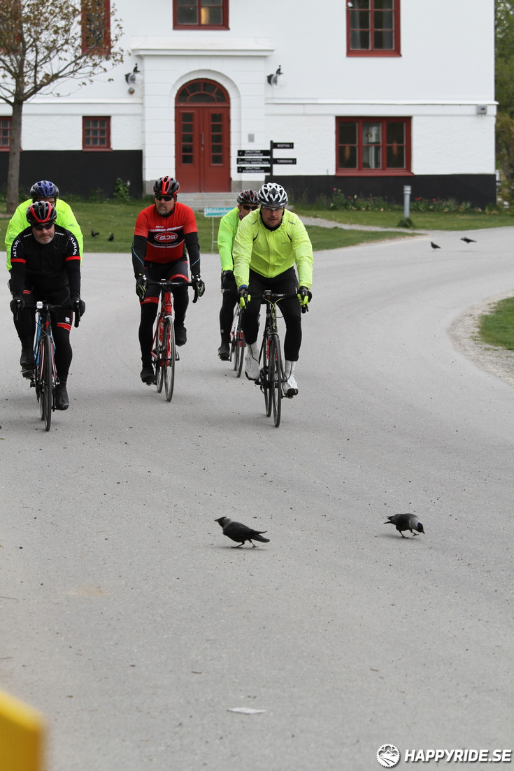 Bild från Skandisloppet LVG 2016