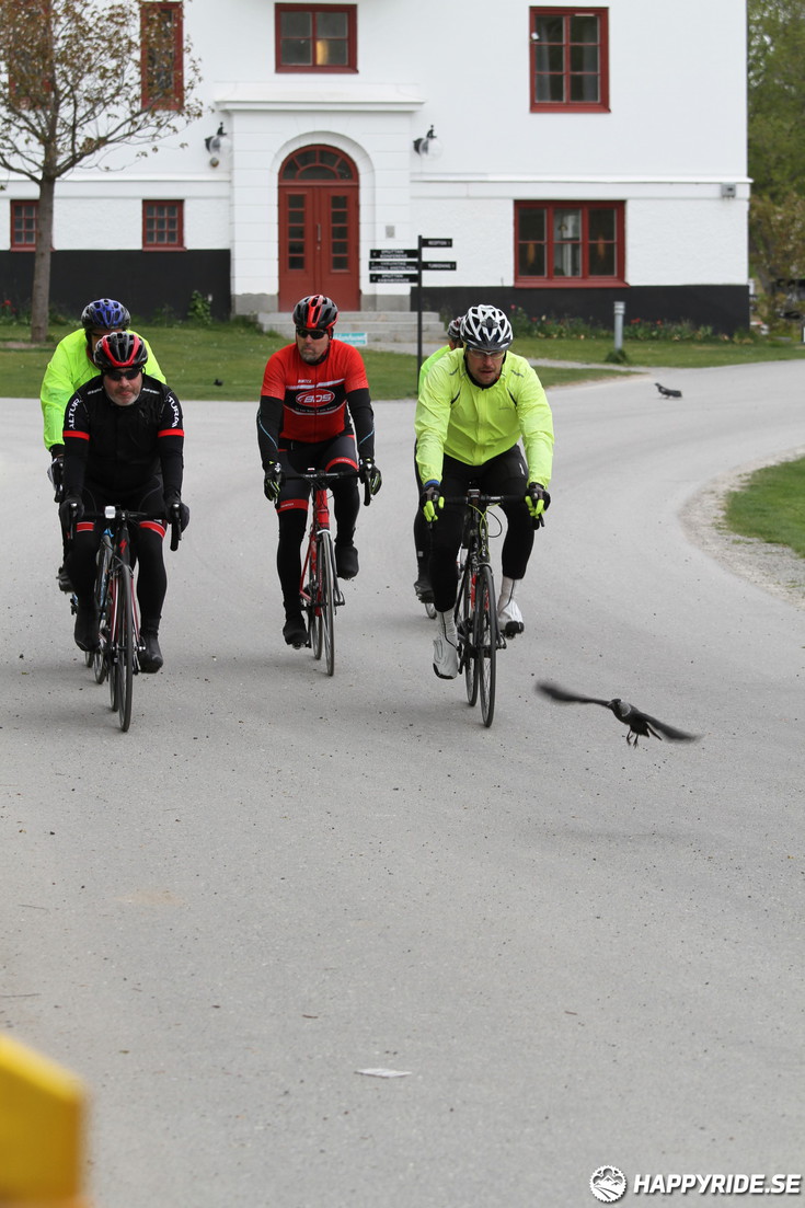 Bild från Skandisloppet LVG 2016