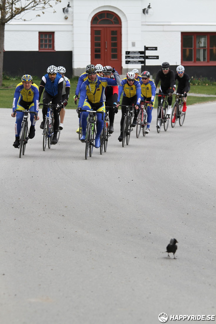 Bild från Skandisloppet LVG 2016