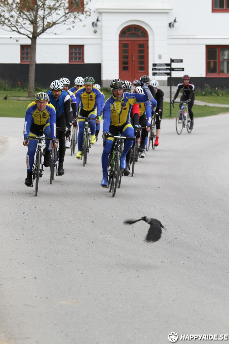 Bild från Skandisloppet LVG 2016