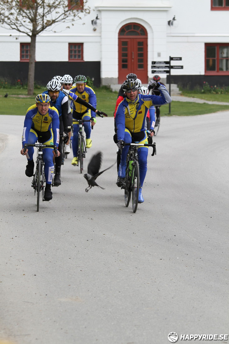 Bild från Skandisloppet LVG 2016