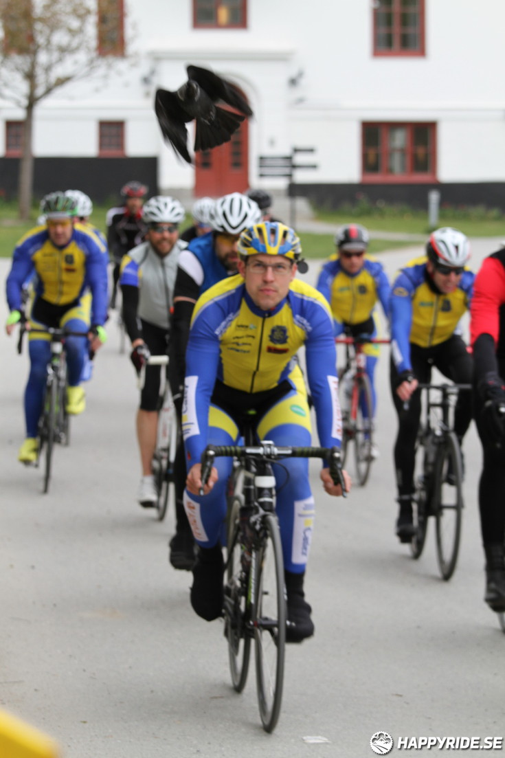 Bild från Skandisloppet LVG 2016