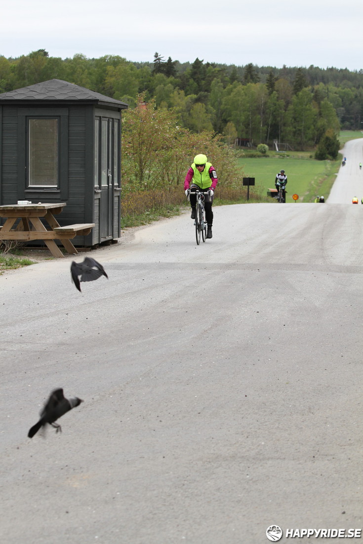 Bild från Skandisloppet LVG 2016