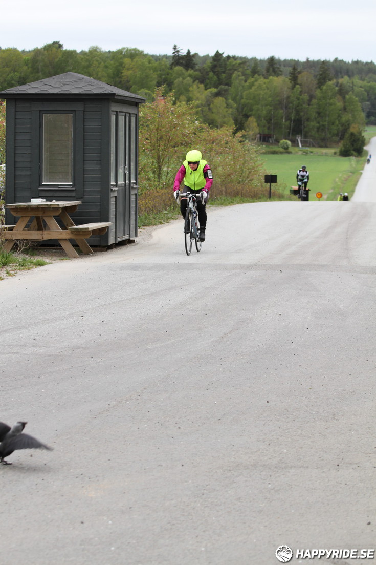 Bild från Skandisloppet LVG 2016