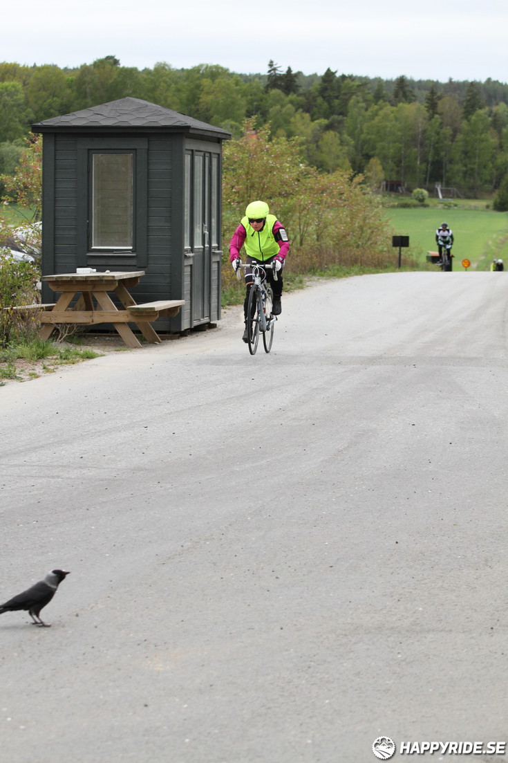 Bild från Skandisloppet LVG 2016