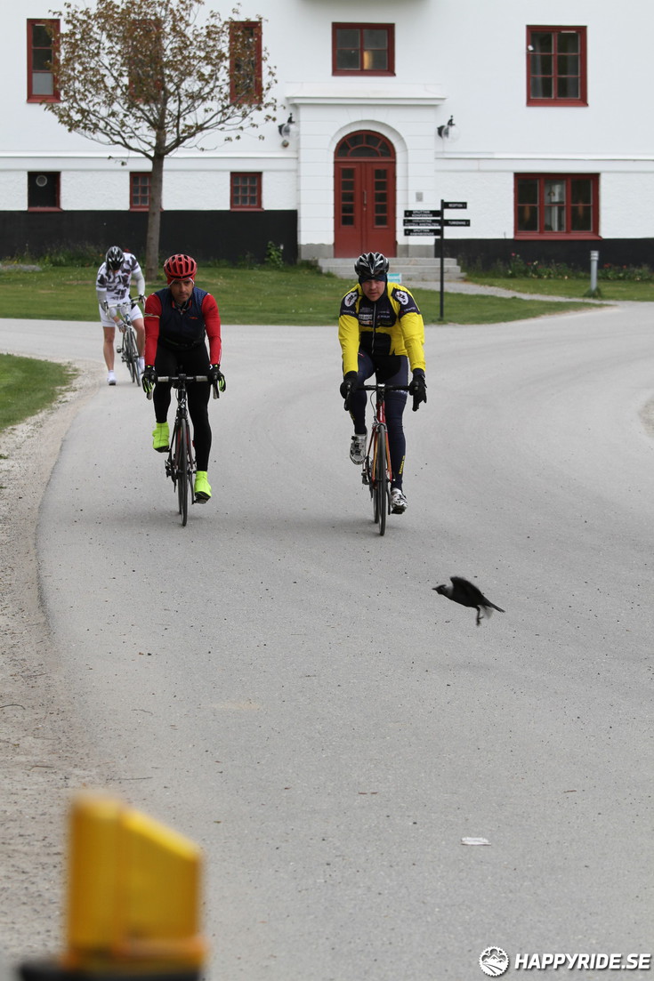 Bild från Skandisloppet LVG 2016