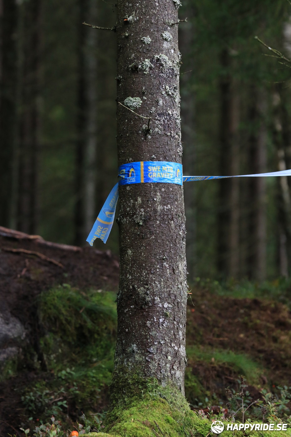 Bild från Ulricehamn SWE CUP Enduro 2021