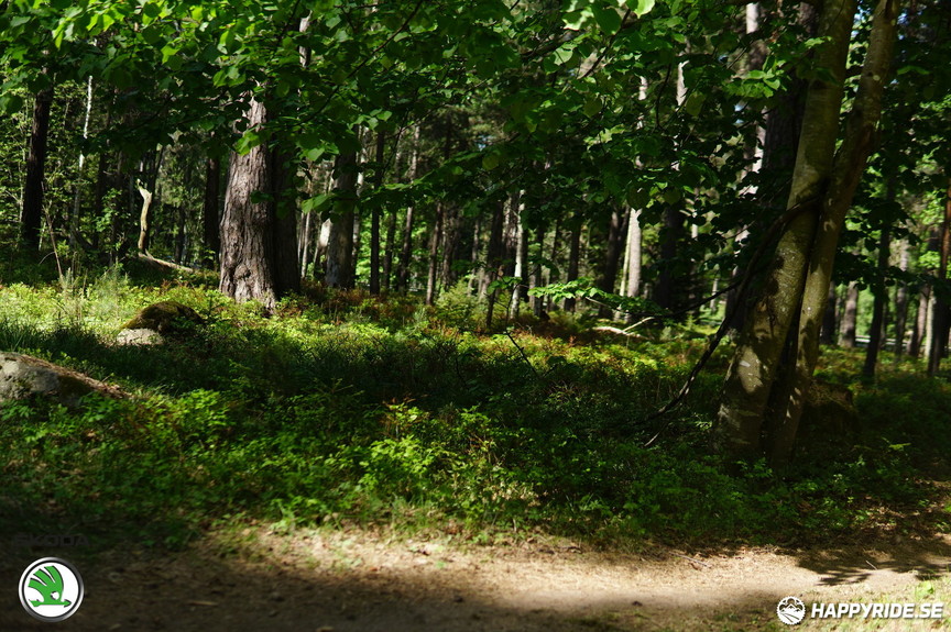 Bild från Uppsala Bike Weekend 2018 Pearl Izumi MTB